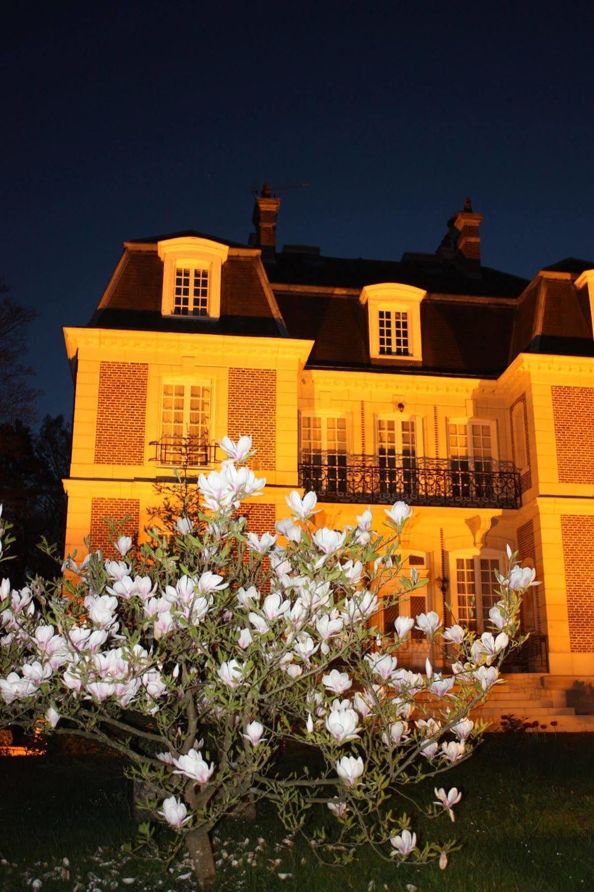 Chateau D'Avesnes - Le Castelet Kültér fotó